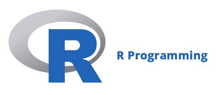 R Programming Language